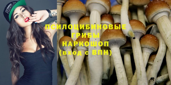 ГАЛЛЮЦИНОГЕННЫЕ ГРИБЫ Алексеевка