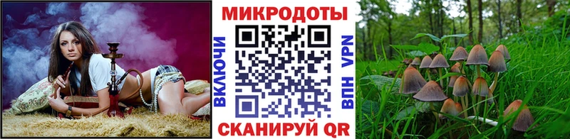 МЕГА ссылка цены наркотик Южно-Сухокумск Псилоцибиновые грибы Psilocybe